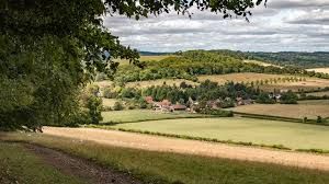 Hambledon Valley To Turville
